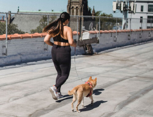 ¿Cómo puedes hacer ejercicio con tu perro?