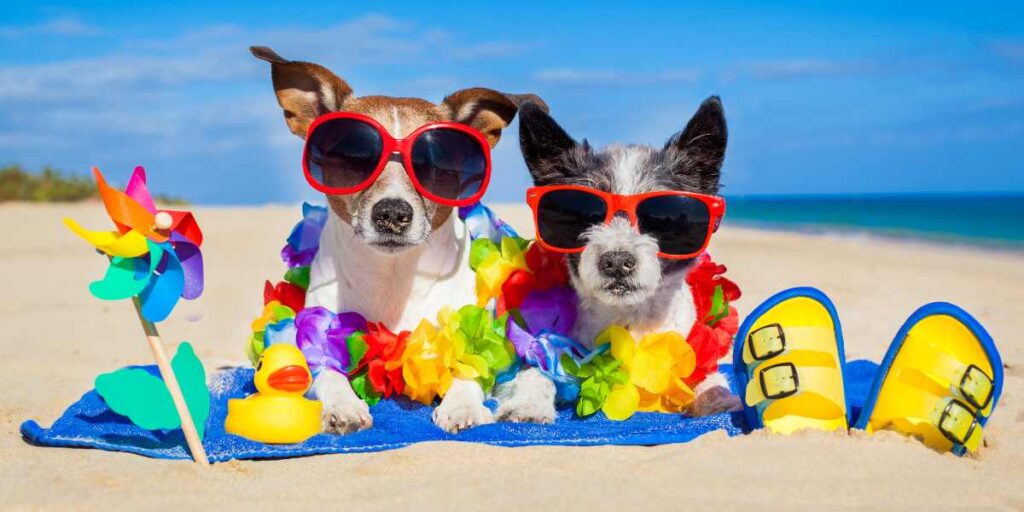 escapada fin de semana