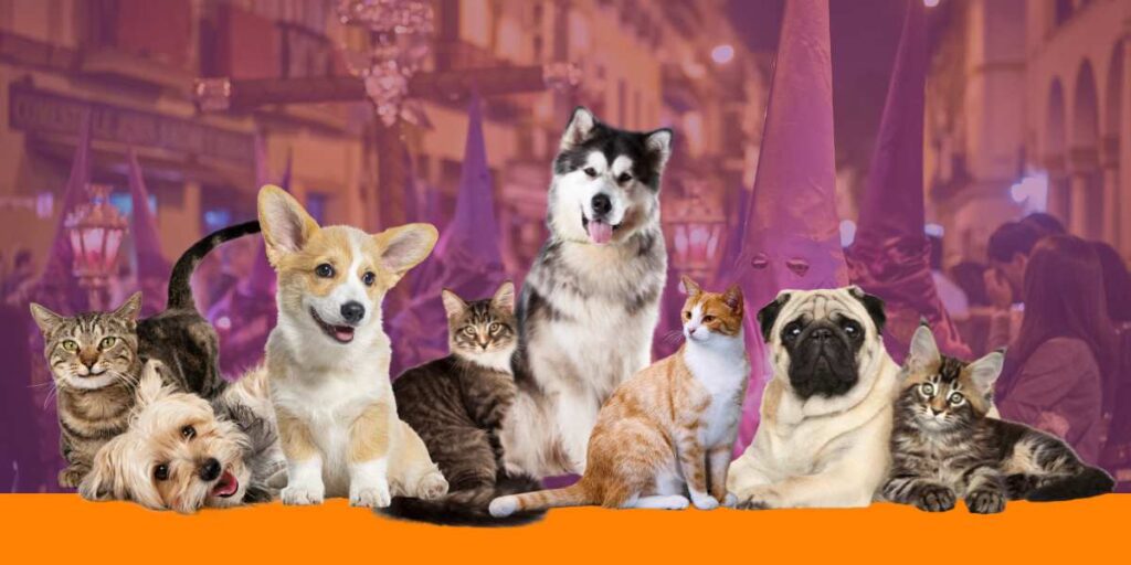 residencia mascotas en semana santa