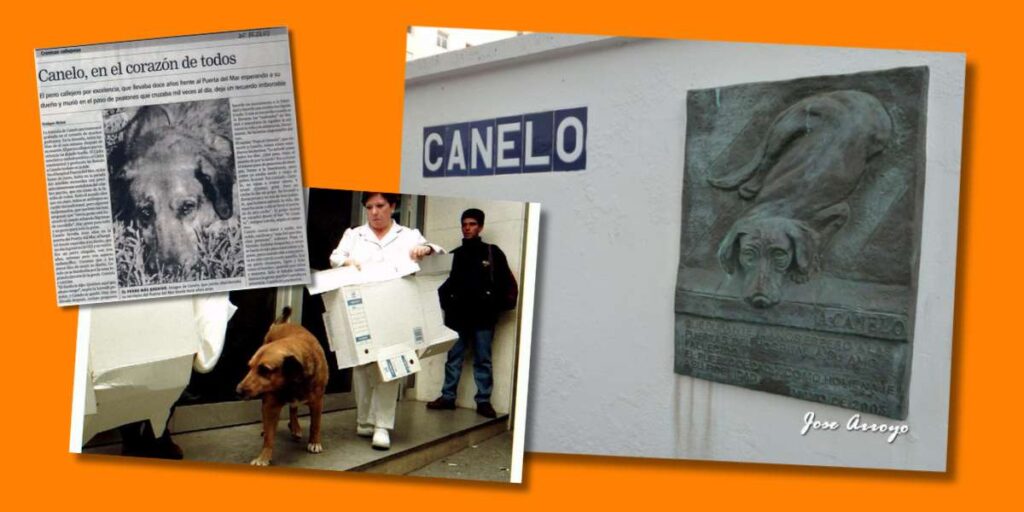 Canelo, el perro de Cádiz