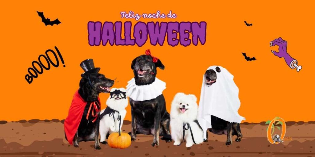 halloween consejos para mascotas