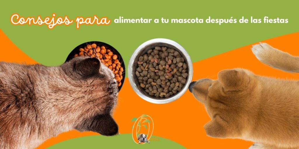 alimentación mascotas fiestas