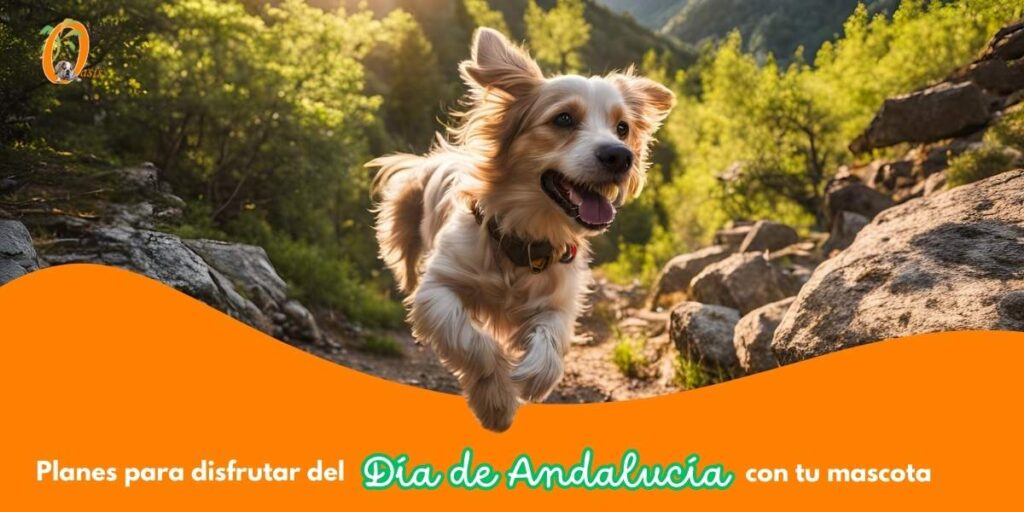 dia de andalucia mascotas